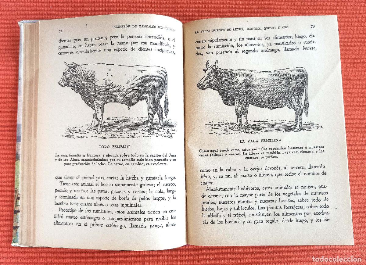 Libros de segunda mano: LA RIQUEZA EN LA MANO LA VACA - FERNANDO ALBURQUERQUE - Foto 6