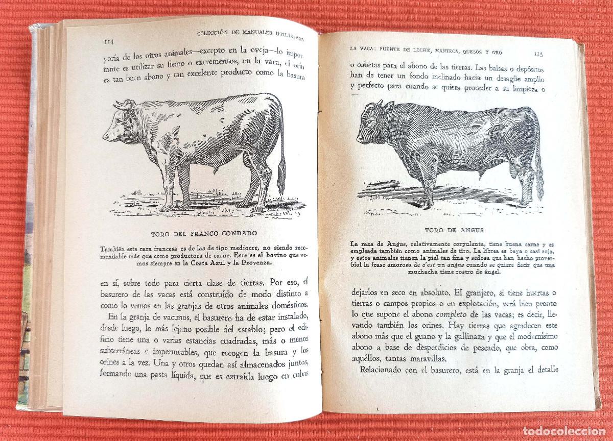 Libros de segunda mano: LA RIQUEZA EN LA MANO LA VACA - FERNANDO ALBURQUERQUE - Foto 7