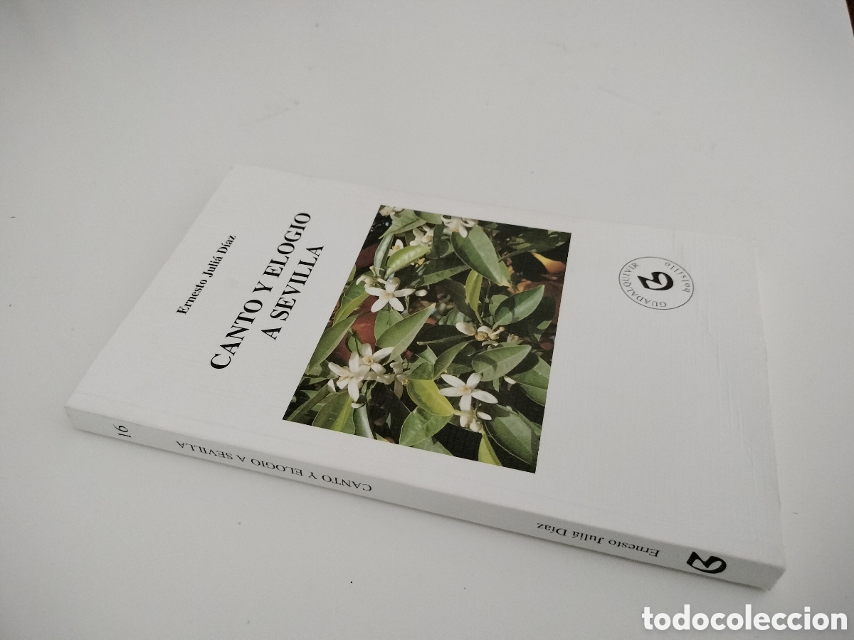Libros de segunda mano: CANTO Y ELOGIO A SEVILLA. ERNESTO JULI&Aacute; D&Iacute;AZ. NUEVO. - Foto 2