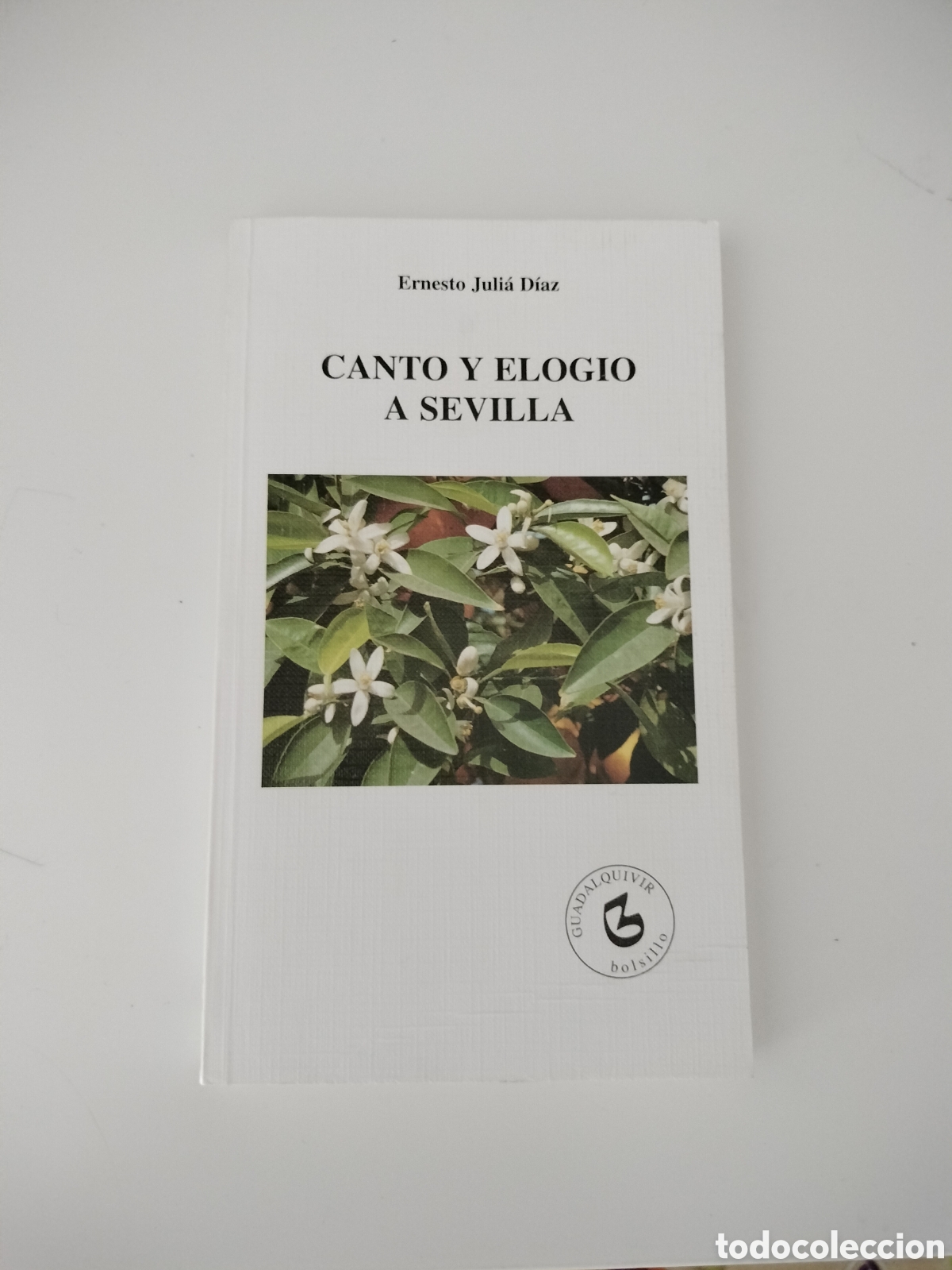 Libros de segunda mano: CANTO Y ELOGIO A SEVILLA. ERNESTO JULI&Aacute; D&Iacute;AZ. NUEVO. - Foto 1