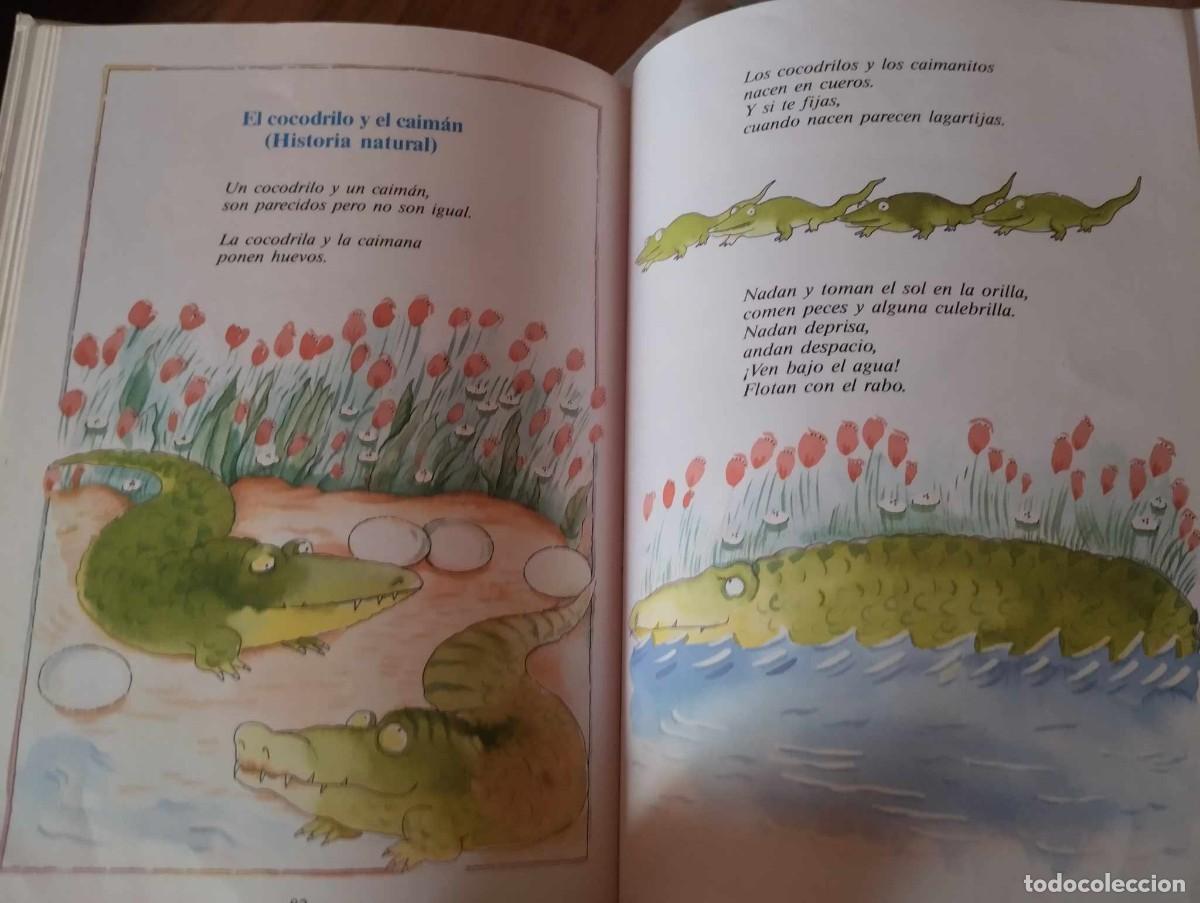 Libros de segunda mano: LIBRO CUENTOS DE ANIMALES GLORIA FUERTES - Foto 2