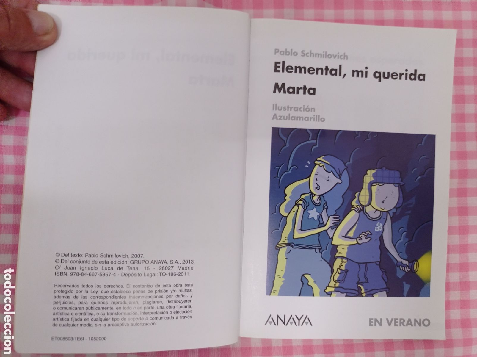 Libros de segunda mano: LOTE 2 LIBROS ANAYA EN VERANO, BUEN ESTADO - Foto 3