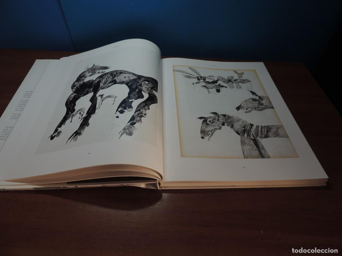 Libros de segunda mano: FAR&Aacute;NDULA. DIBUJOS 1966 -1974. BRIAN NISSEN .- VV.AA - Foto 11