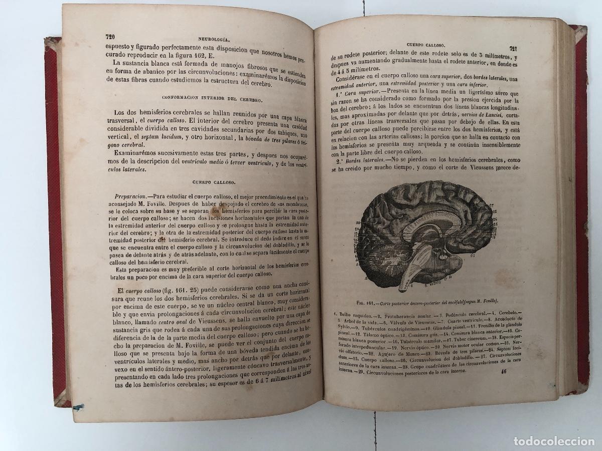 Libros de segunda mano: LIBRO: TRATADO DE ANATOM&Iacute;A DESCRIPTIVA - Foto 2