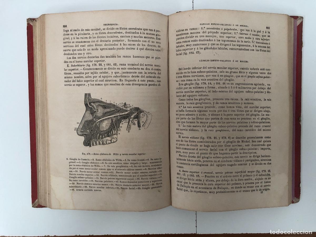 Libros de segunda mano: LIBRO: TRATADO DE ANATOM&Iacute;A DESCRIPTIVA - Foto 3