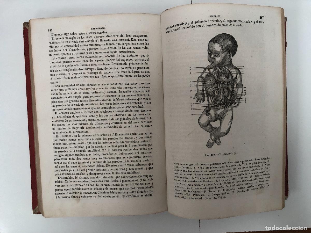 Libros de segunda mano: LIBRO: TRATADO DE ANATOM&Iacute;A DESCRIPTIVA - Foto 4