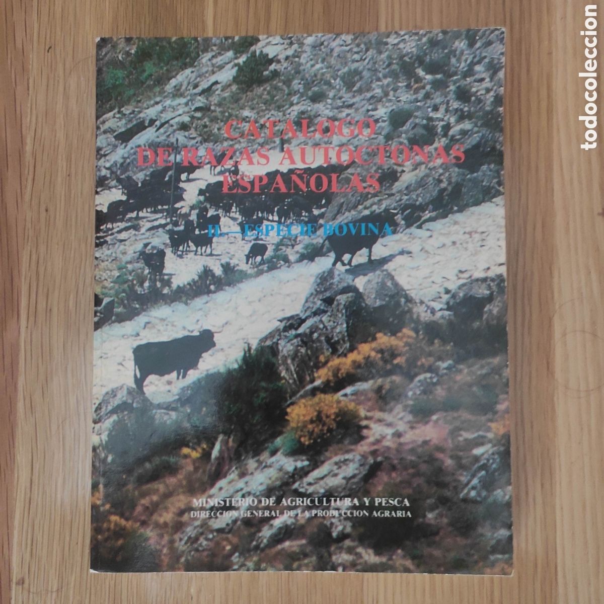 Libros de segunda mano: CATALOGO DE LAS RAZAS AUT&Oacute;CTONAS ESPA&Ntilde;OLAS ESPECIE BOVINA - Foto 1