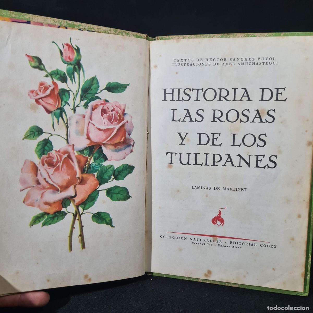 Libros de segunda mano: HISTORIA DE LAS ROSAS Y DE LOS TULIPANES - EDITORIAL CODEX / 27.745 - Foto 5