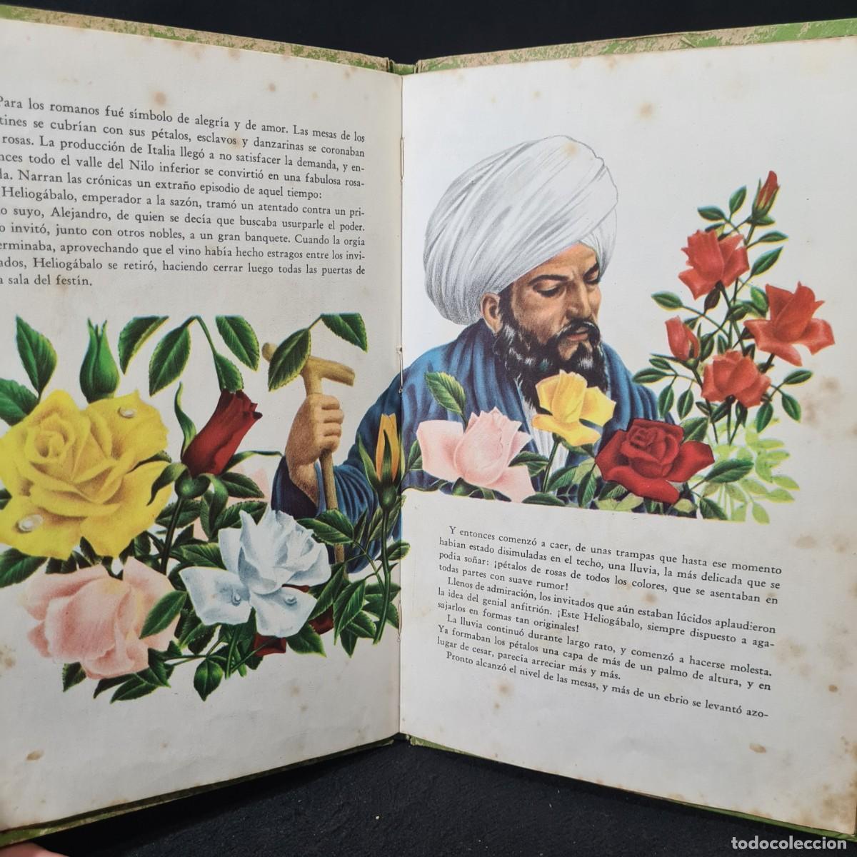 Libros de segunda mano: HISTORIA DE LAS ROSAS Y DE LOS TULIPANES - EDITORIAL CODEX / 27.745 - Foto 6