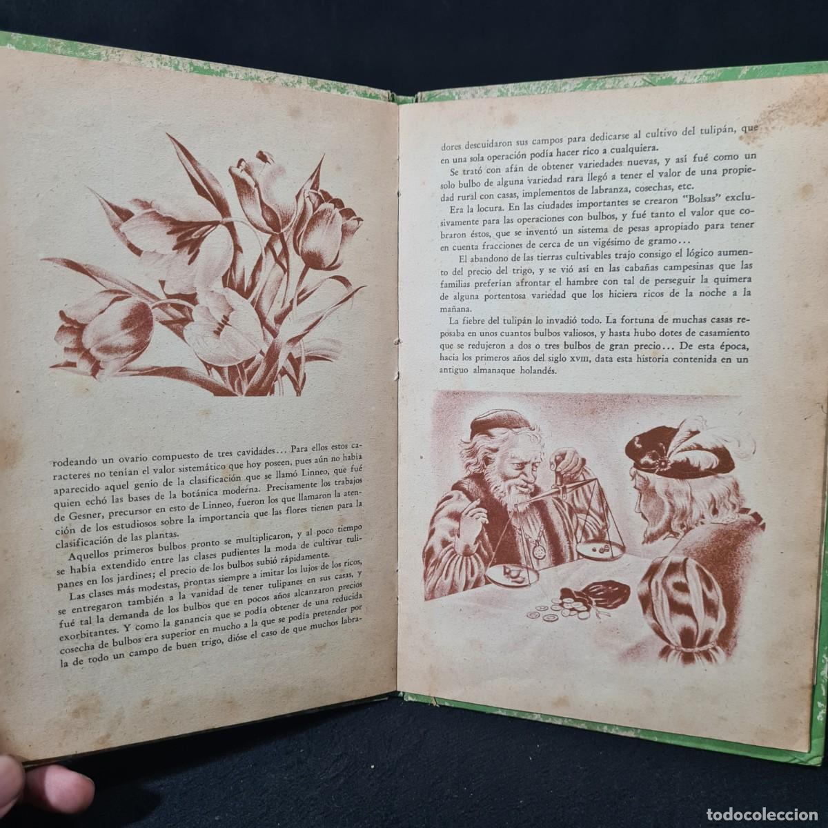 Libros de segunda mano: HISTORIA DE LAS ROSAS Y DE LOS TULIPANES - EDITORIAL CODEX / 27.745 - Foto 7