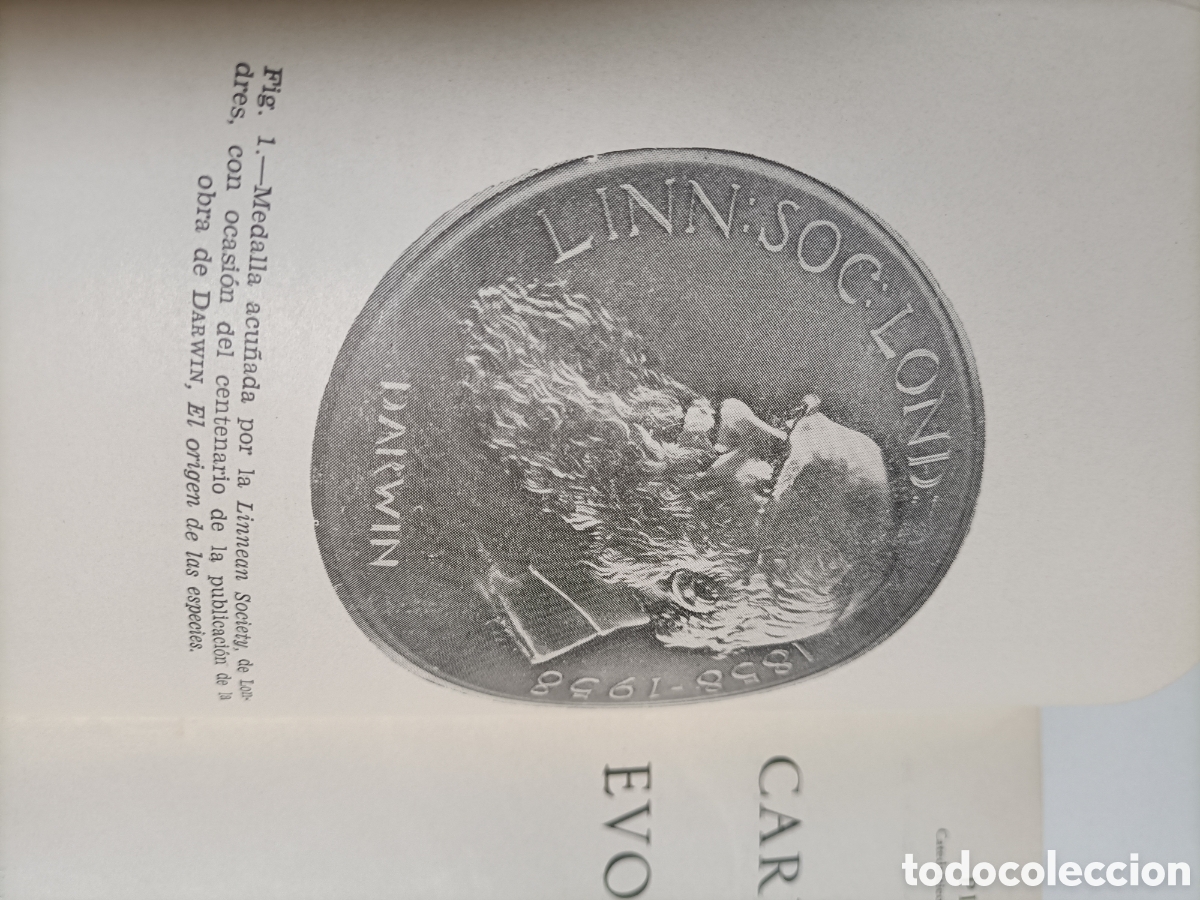Libros de segunda mano: Carlos Darwin y el evolucionismo.Piero Leonardi - Foto 6