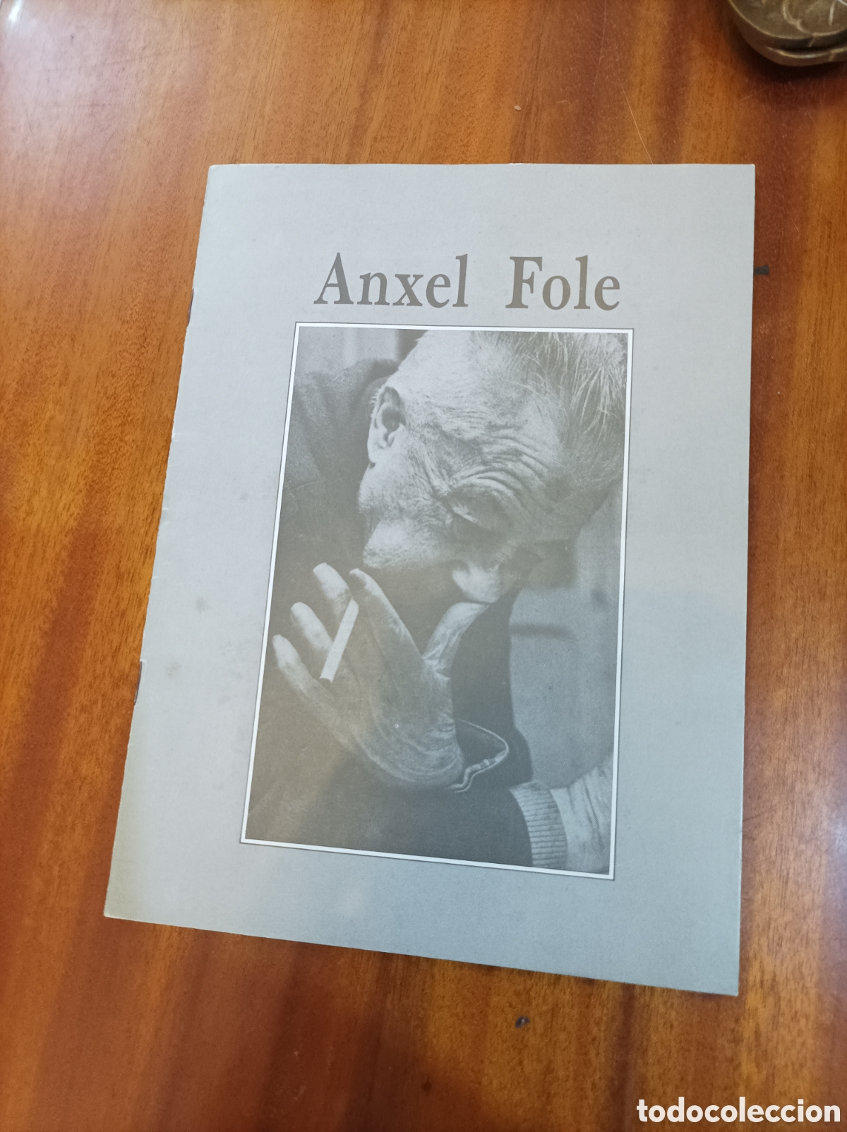 Libri di seconda mano: ANXEL FOLE Contar y Cantar.SOCIEDADE GENERAL DE AUTORES 1500 EJEMPLARES 1987