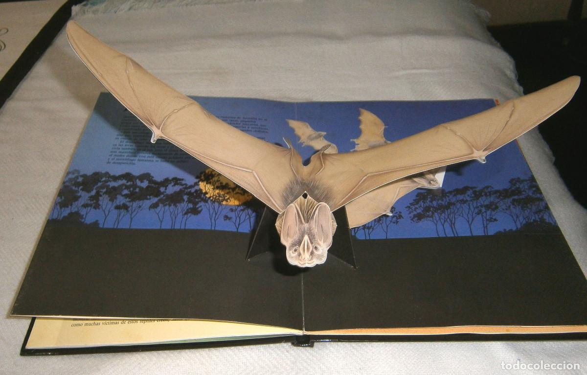 Libros de segunda mano: animales en peligro un libro tridimensional Susaeta - Foto 2