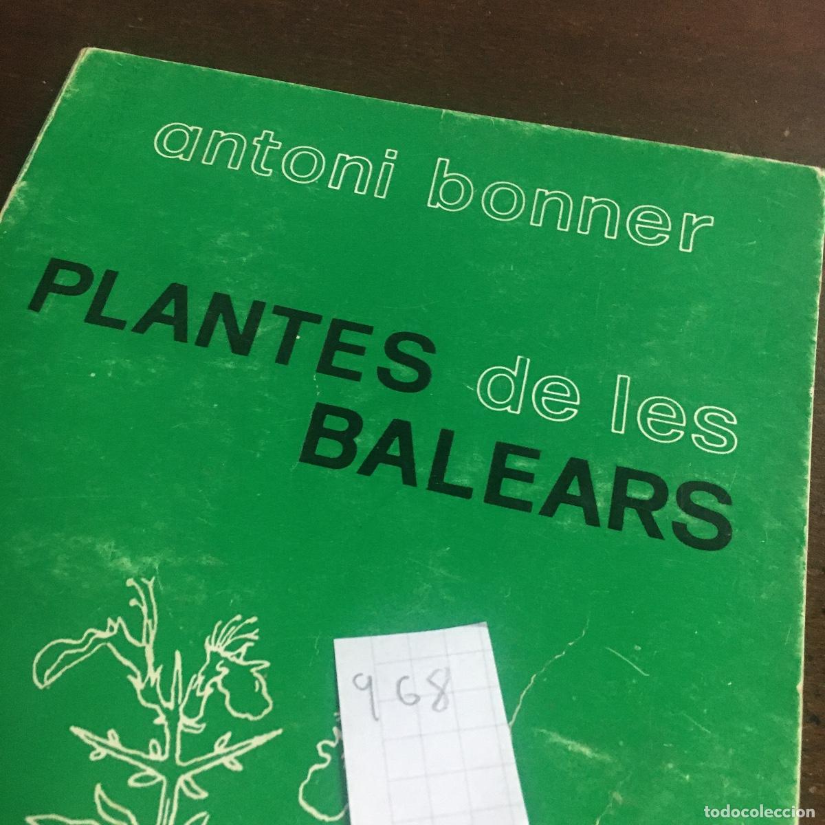 Libros de segunda mano: PLANTES DE LES BALEARS - ANTONI BONNER REF: 968 - Foto 5