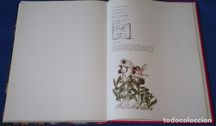 Libros de segunda mano: Hadas y Elfos - Mundo Fant&aacute;stico - Folio (2002) - Foto 7