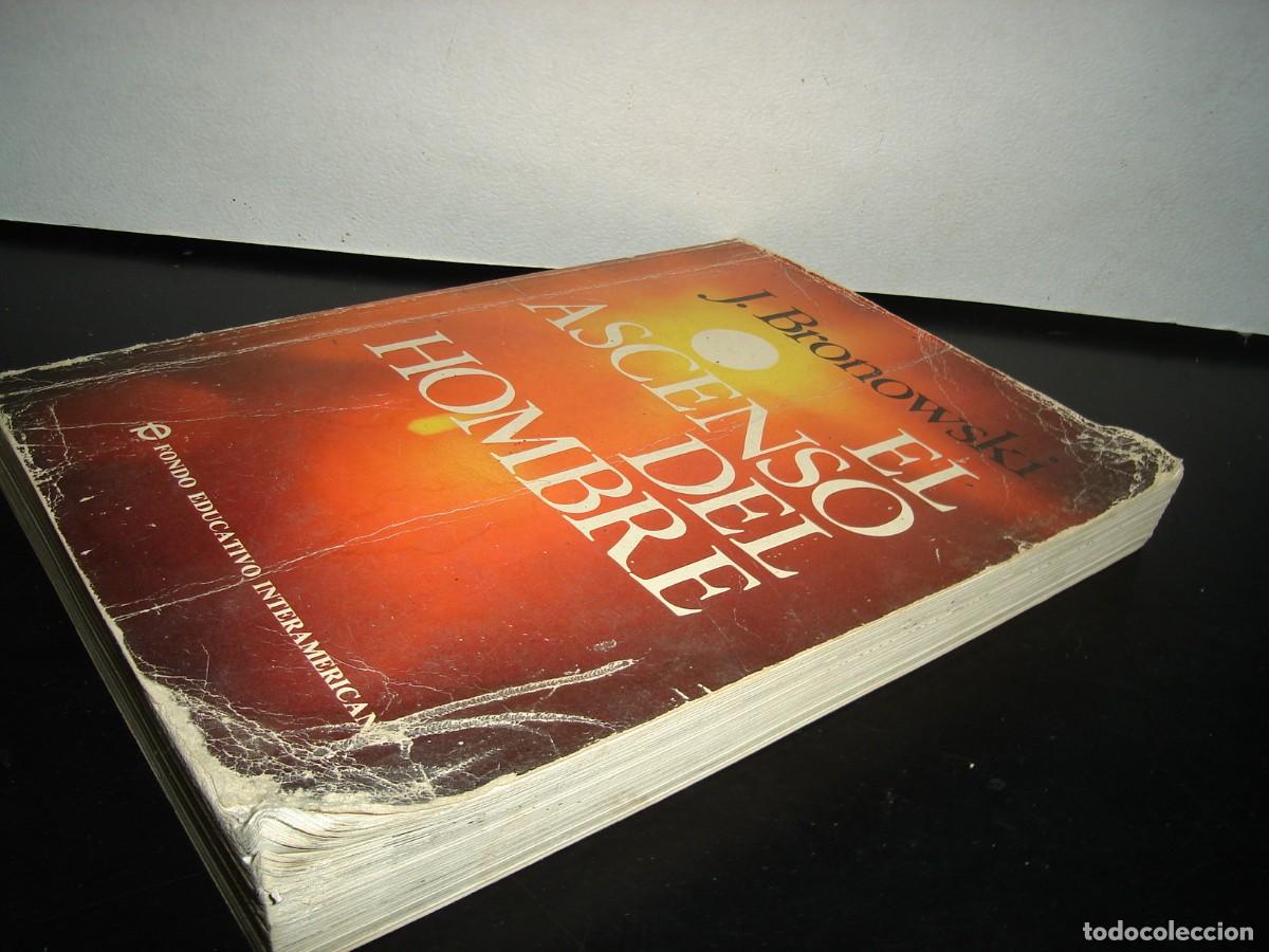 Libros de segunda mano: 22- EL ASCENSO DEL HOMBRE - J. BRONOWSKI - Foto 3