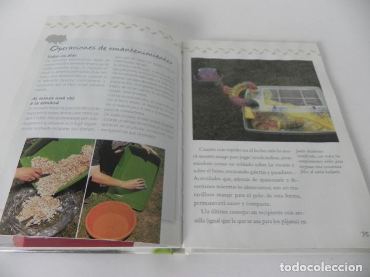 Libros de segunda mano: MI... RAT&Oacute;N BAILAR&Iacute;N (BRUNO TENEREZZA) EDIT. DE VECCHI-2005 - Foto 4