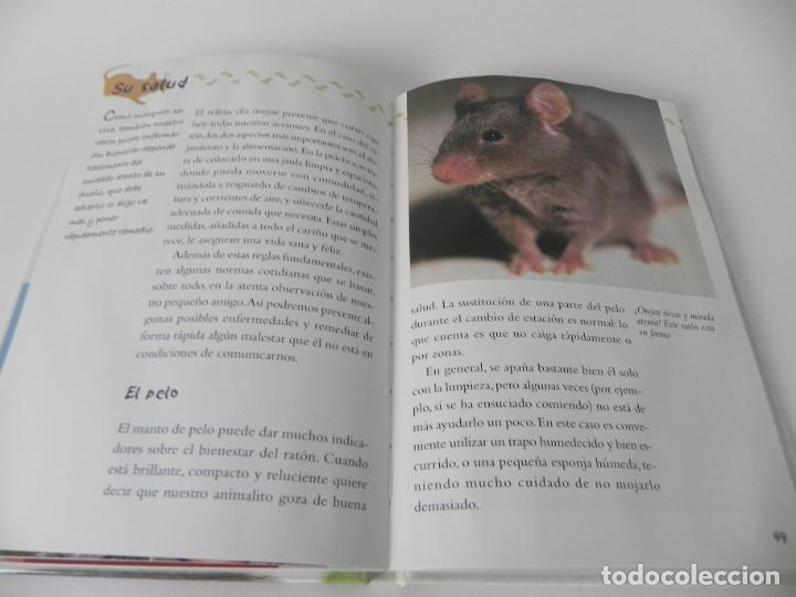 Libros de segunda mano: MI... RAT&Oacute;N BAILAR&Iacute;N (BRUNO TENEREZZA) EDIT. DE VECCHI-2005 - Foto 5
