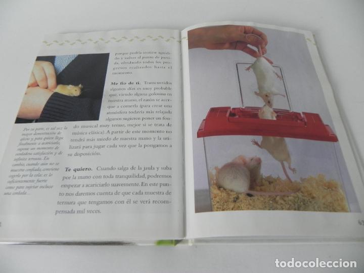 Libros de segunda mano: MI... RAT&Oacute;N BAILAR&Iacute;N (BRUNO TENEREZZA) EDIT. DE VECCHI-2005 - Foto 6