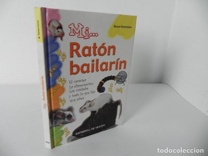 Libros de segunda mano: MI... RAT&Oacute;N BAILAR&Iacute;N (BRUNO TENEREZZA) EDIT. DE VECCHI-2005 - Foto 1