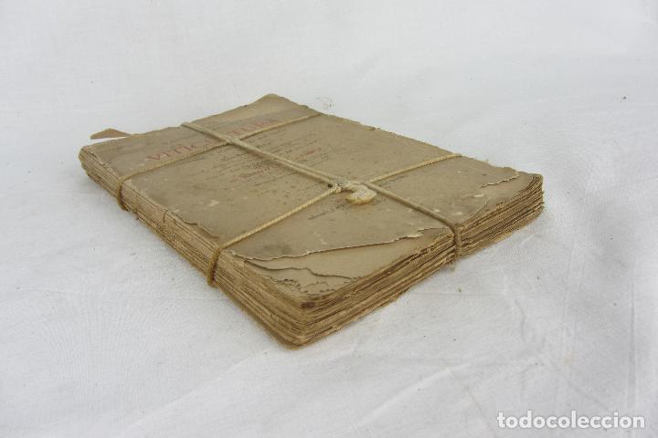Libros de segunda mano: Gustavo Fo&euml;x: Manual pr&aacute;ctico de Viticultura, 1885 - Foto 2