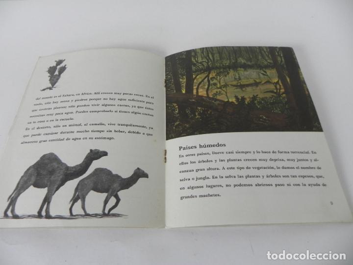 Libros de segunda mano: LA LLUVIA (SHELAGH Y ROGER STACEY) BIBLIOTECA DE CONOCIMIENTOS BASICOS-1971 - 1&ordf; EDICI&Oacute;N - Foto 4