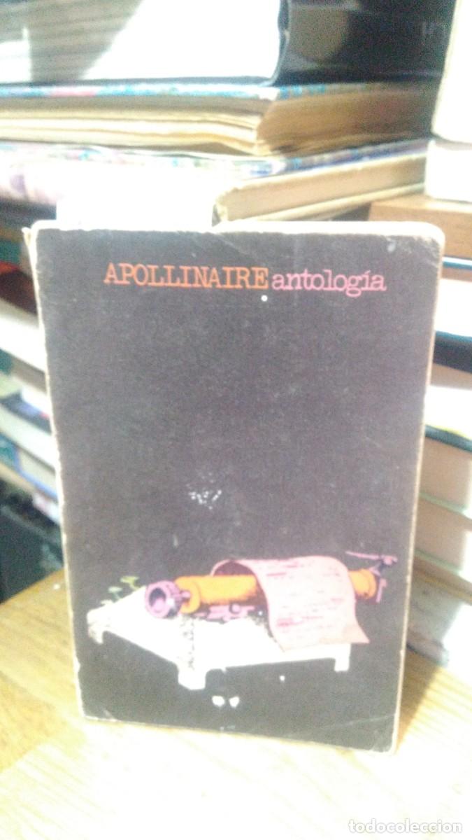 Libros de segunda mano: APOLLINAIRE ANTOLOG&Iacute;A, VISOR - Foto 1