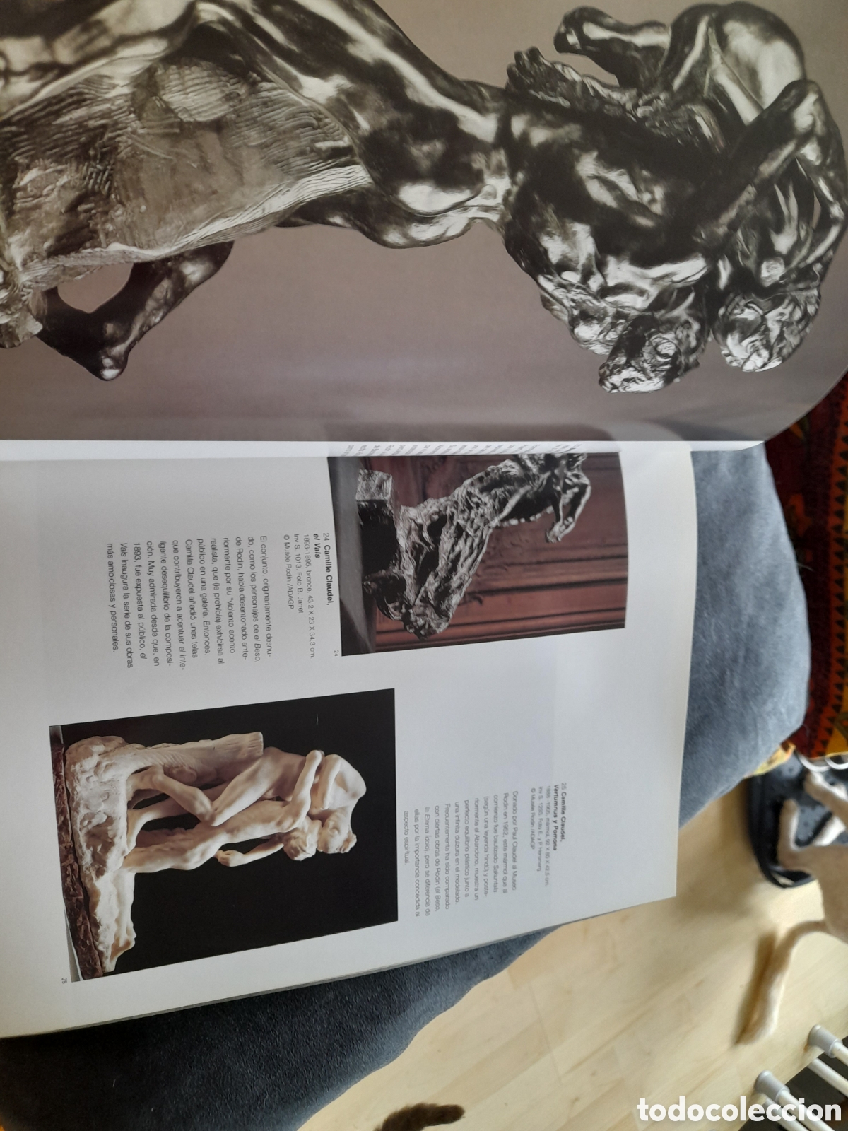 Libros de segunda mano: Museo Rodin.Beaux Arts - Foto 3