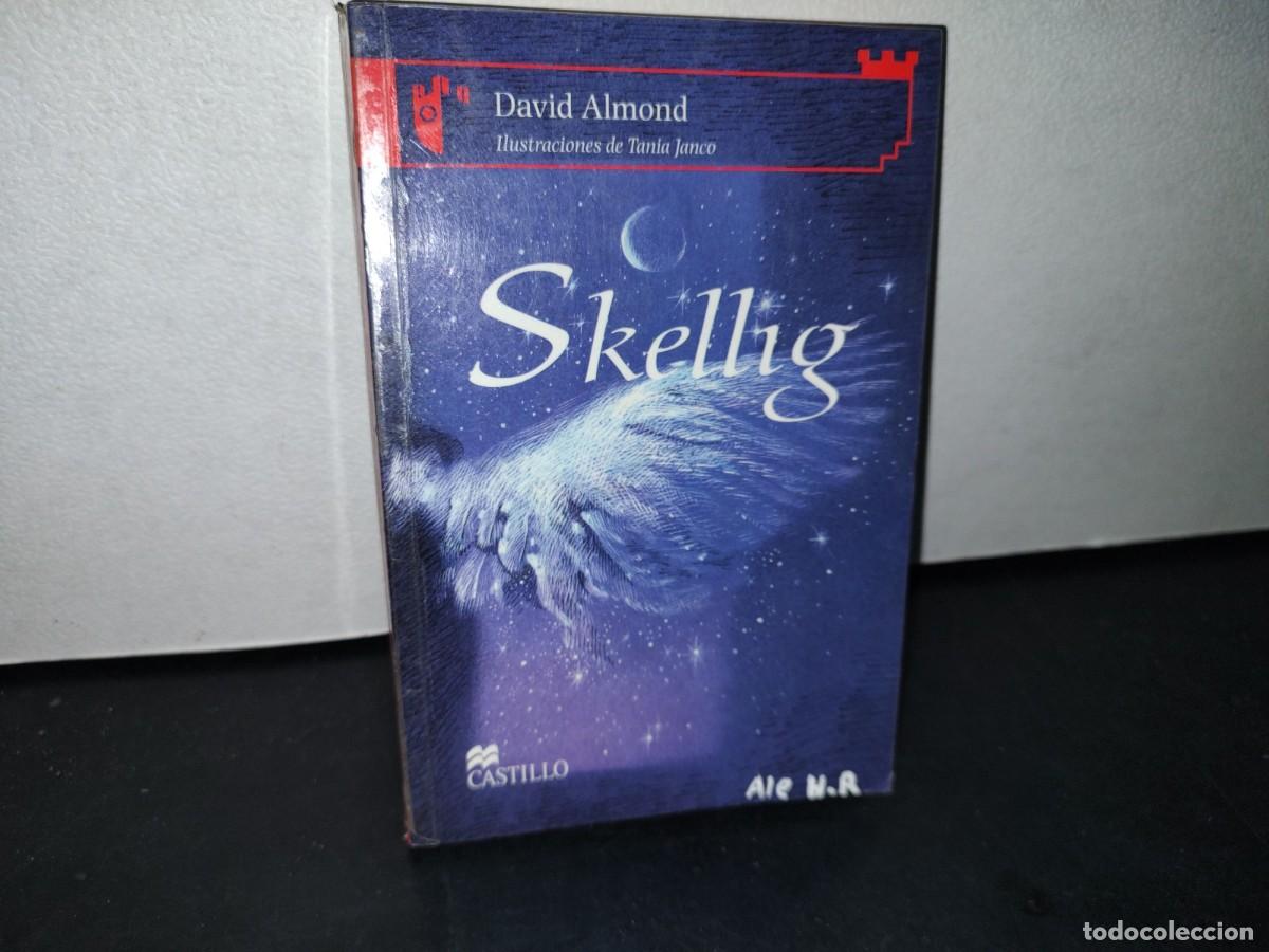 Libros de segunda mano: 165- SKELLIG - DAVID ALMOND - 2011 - Foto 1