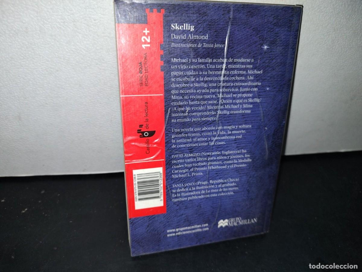 Libros de segunda mano: 165- SKELLIG - DAVID ALMOND - 2011 - Foto 3