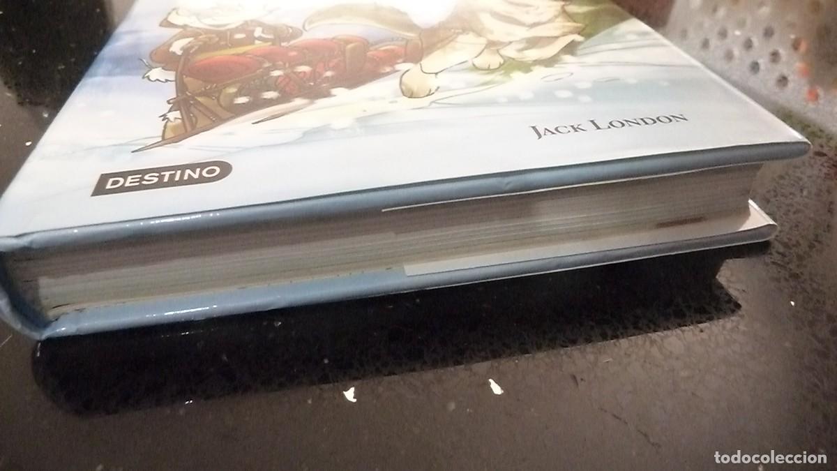 Libros de segunda mano: La llamada de la Selva. Geronimo Stilton - Foto 5