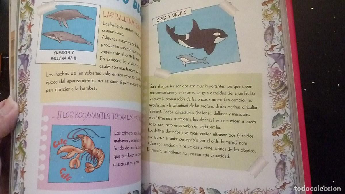 Libros de segunda mano: El barco fantasma. Tea Stilton 5 - Foto 5