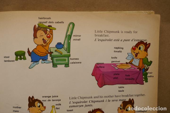 Libros de segunda mano: El meu primer diccionari dAngles - Walt Disney (en Catalan) - Foto 14
