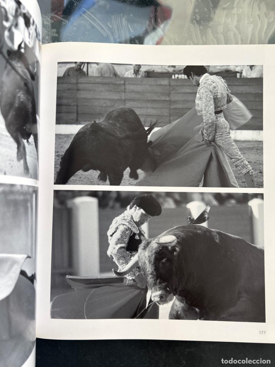 Libros de segunda mano: CORRIDA, ANYA BARTELS SUERMONDT - Foto 2