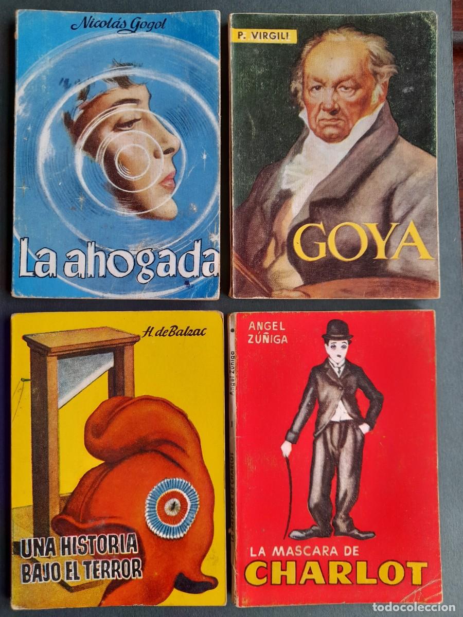 Gebrauchte B&uuml;cher: Biograf&iacute;a Goya, 4 t&iacute;tulo a elegir, Novela; la Ahogada, Novela, historia de Terror, Biograf&iacute;a Charlot