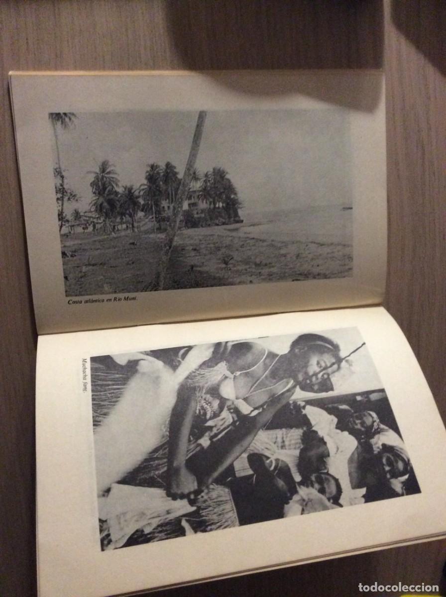 Libros de segunda mano: Cuentos de Fangs y de Bubis - Foto 4