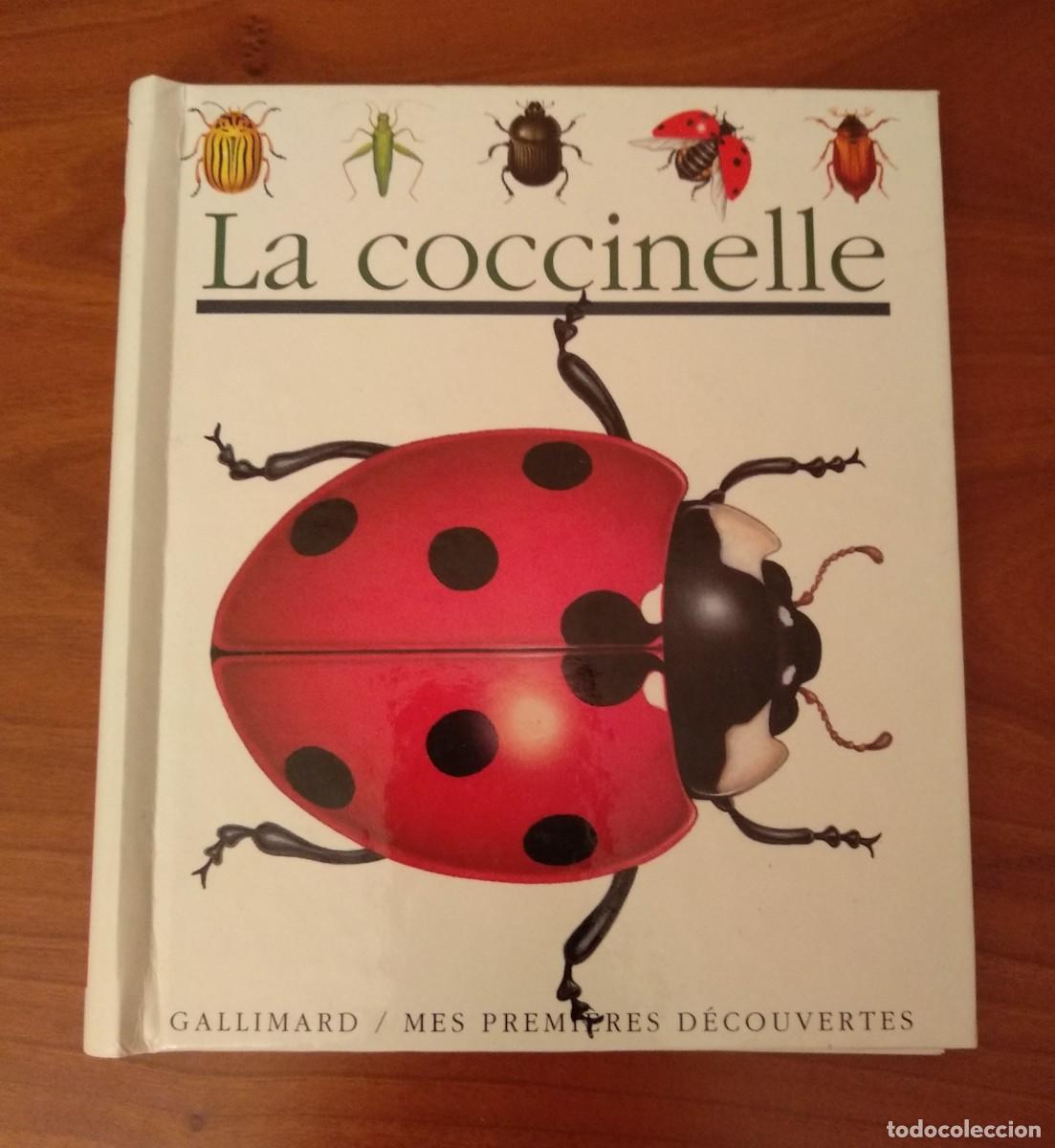 Second hand books: LA COCCINELLE, llibre infantil il&middot;lustrat, en franc&egrave;s. Premi&egrave;res DECOUVERTES.