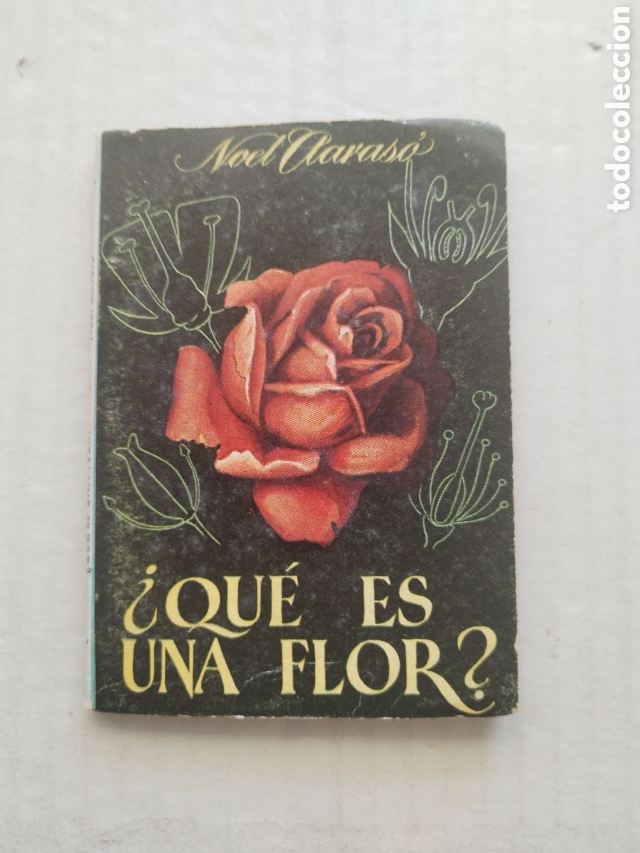 Libros de segunda mano: &iquest;QUE ES UNA FLOR? /ENCICLOPEDIA PULGA N &deg;14 - Foto 1
