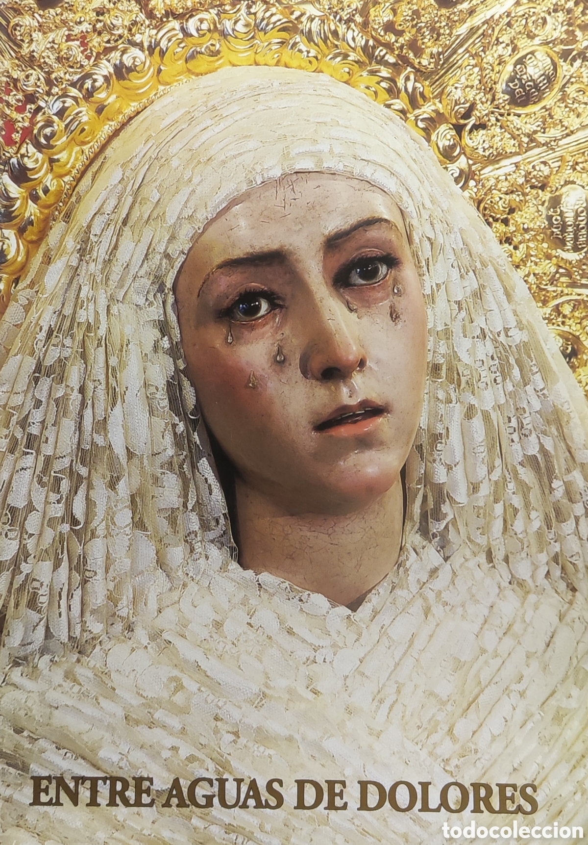 Libros de segunda mano: Entre Aguas y Dolores - Foto 1