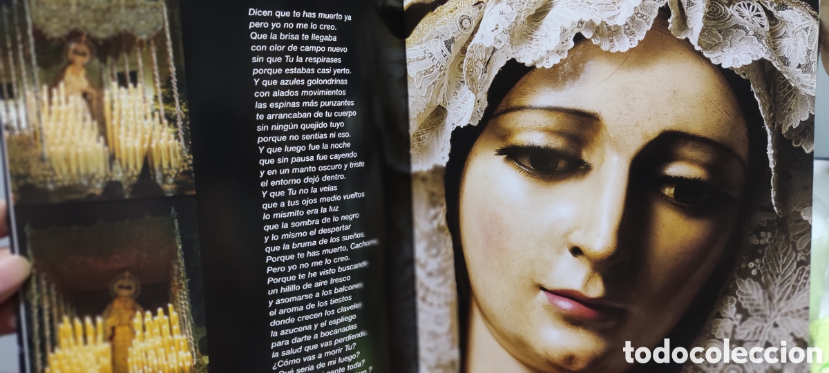 Libros de segunda mano: Luz de Piedad - Foto 3