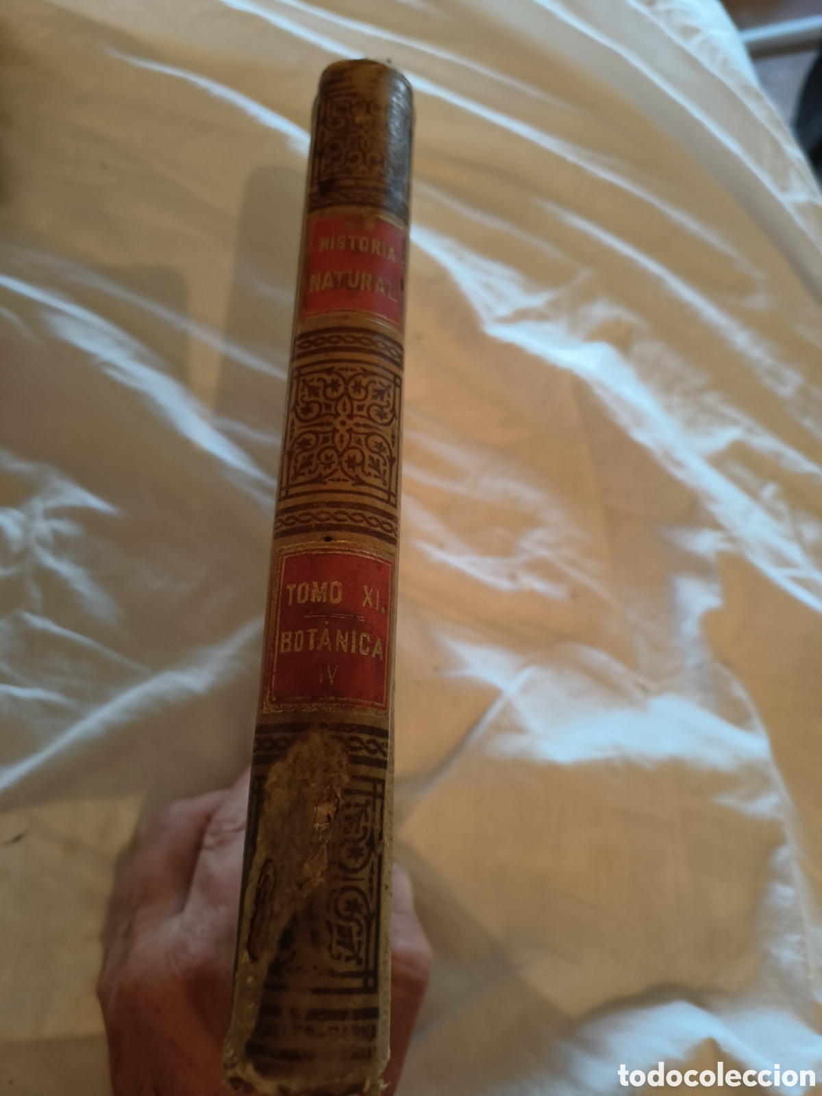 Libros de segunda mano: Historia Natural.Botanica. 1894 - Foto 2