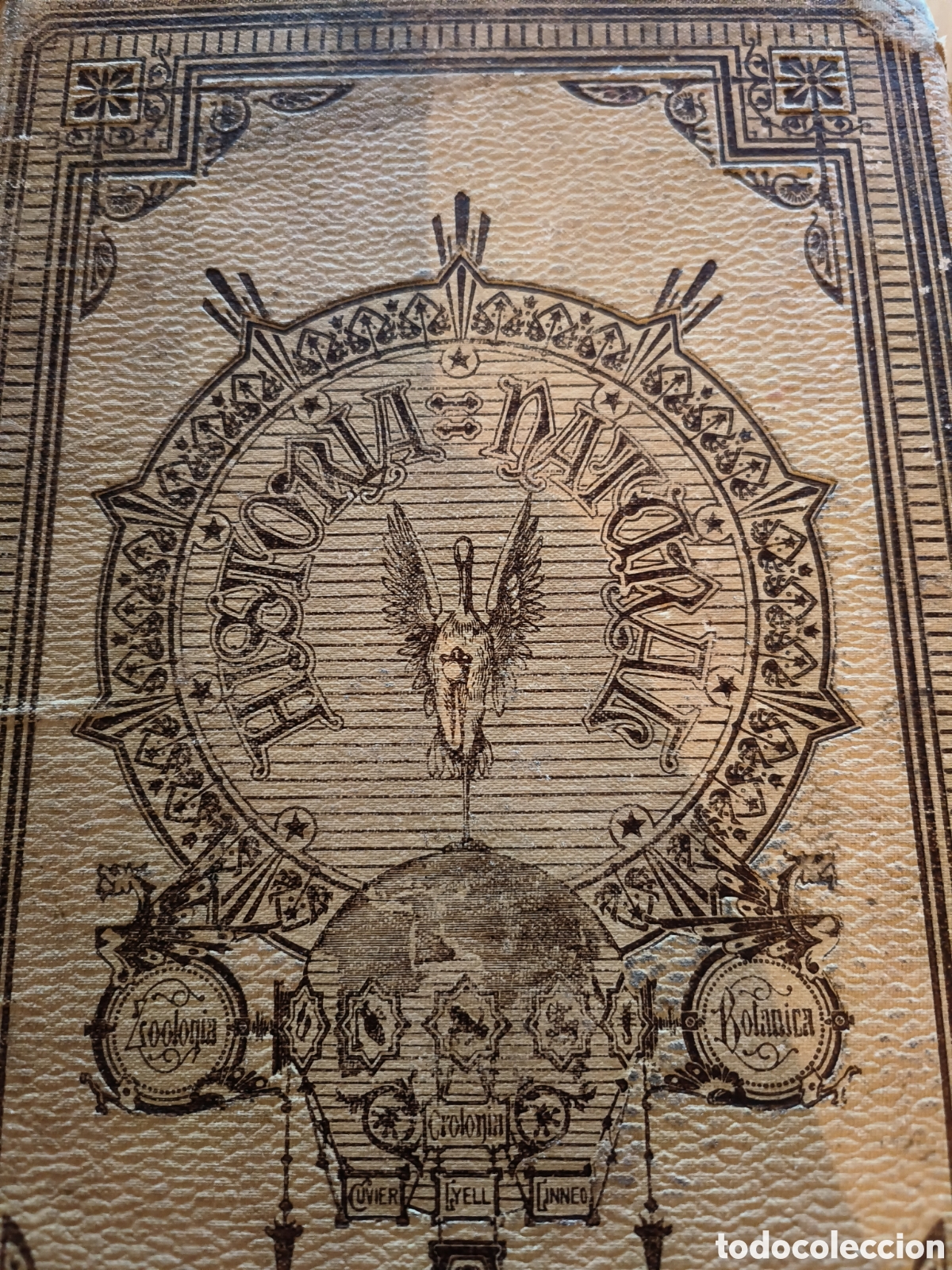 Libros de segunda mano: Historia Natural.Botanica. 1894 - Foto 5