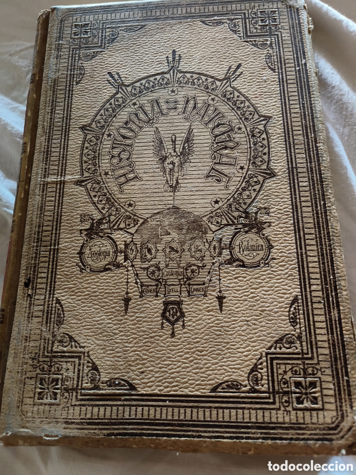 Libros de segunda mano: Historia Natural.Botanica. 1894 - Foto 1