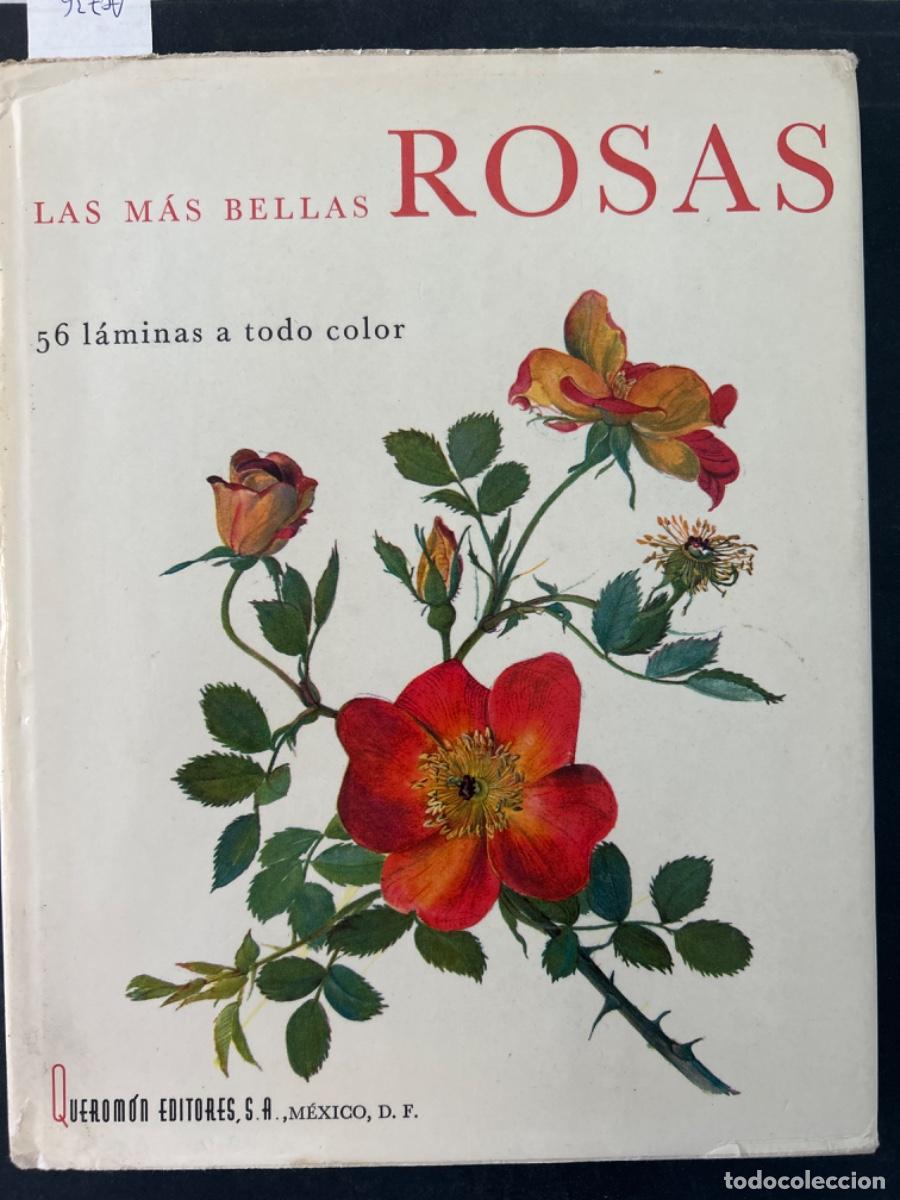 Libros de segunda mano: LAS MAS BELLAS ROSAS, 56 LAMINAS A TODO COLOR, P SVOBODA & J KAPLICKA
