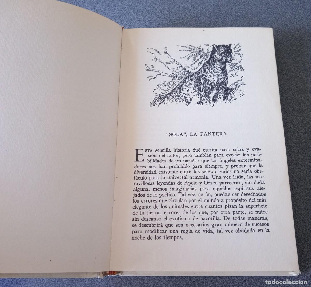 Libros de segunda mano: El Libro De Los Animales Llamados Salvajes Andr&eacute; Demaison - Foto 6