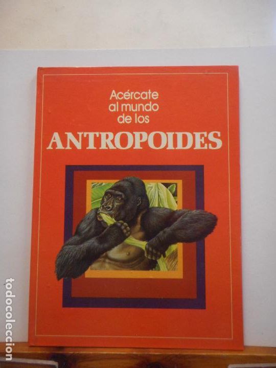 Libros de segunda mano: AC&Eacute;RCATE AL MUNDO DE LOS ANTROPOIDES. EDITORIAL MOLINO. - Foto 1