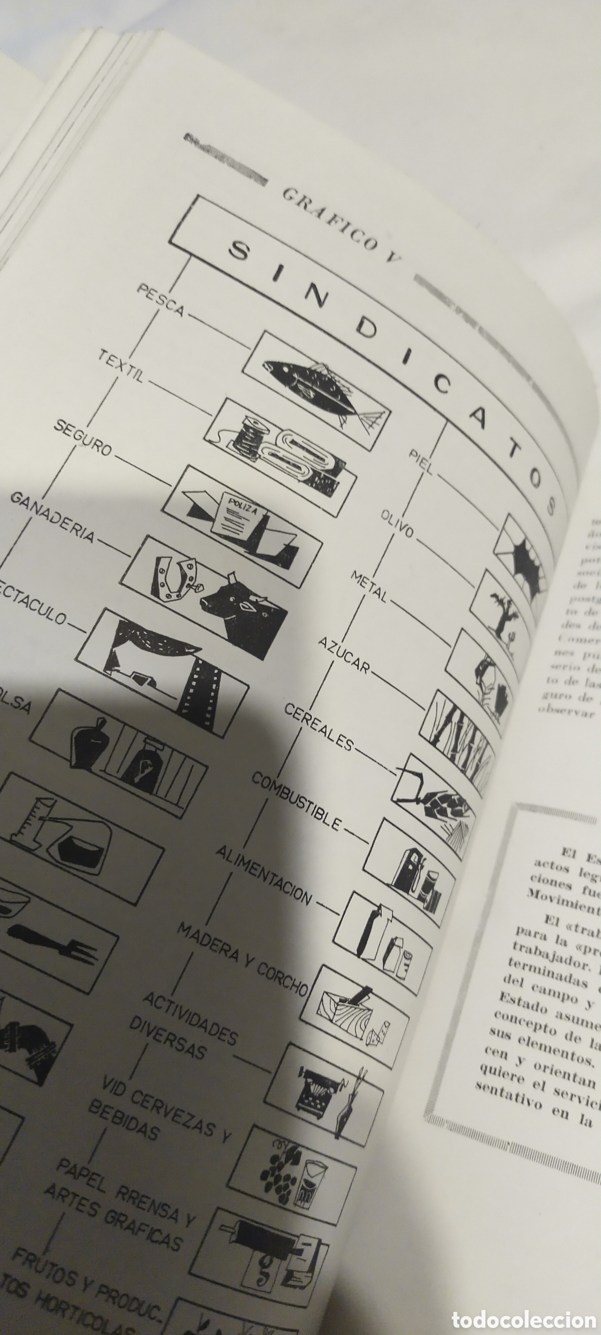 Libros de segunda mano: Estructura pol&iacute;tica de Espa&ntilde;a - Foto 2