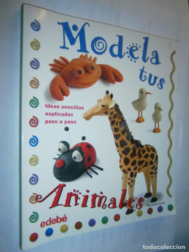 Libros de segunda mano: MODELA TUS ANIMALES - CG10 - Foto 1