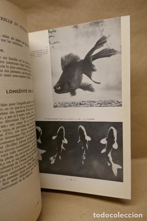 Libros de segunda mano: LA PECHE - de NADAUD JEROME (EN FRANC&Eacute;S) - Foto 22