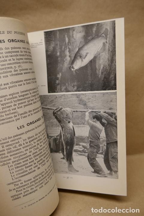Libros de segunda mano: LA PECHE - de NADAUD JEROME (EN FRANC&Eacute;S) - Foto 23